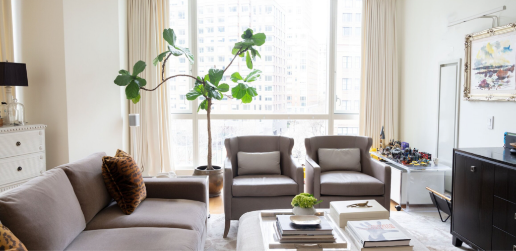 Bright New York City apartment living room with warm greige sofa and armchairs, cream drapery panels, fiddle leaf fig tree and colorful artwork in gilded frame